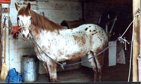 Helen  and Tablo Red Circa 1978